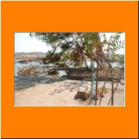 Collapsed Tree and Electric pole near Brindavana.JPG