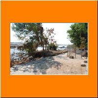 Collapsed Tree and Electric pole near Rayaru Brindavana.JPG