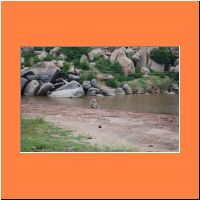 Mother nature at Sri Mother nature Yantroddaara Swami_12.jpg